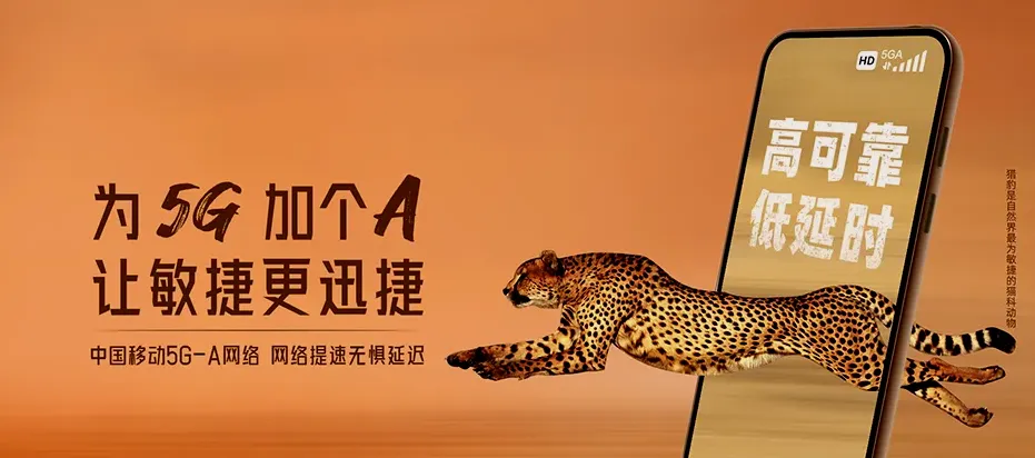 汉寿县汉寿县岩汪湖镇 移动宽带